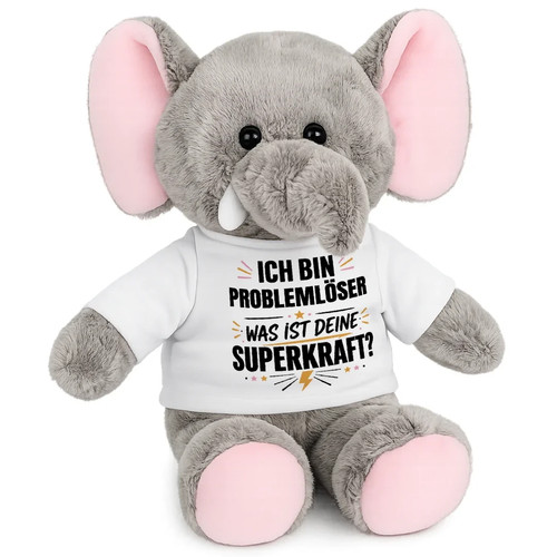 Ich bin problemlöser - bin,