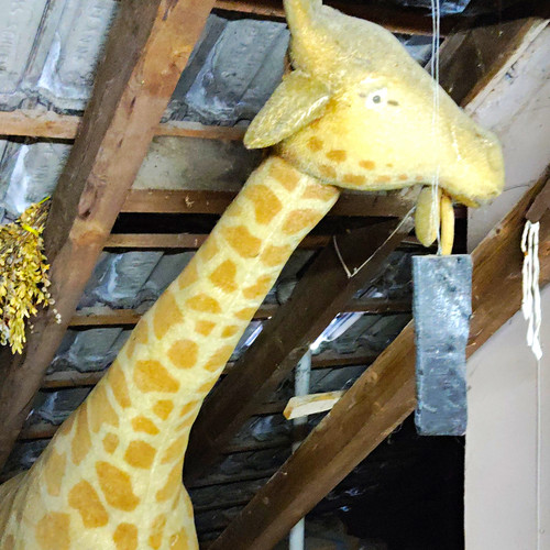 Steiff studio giraffe - giraffe., 190cm