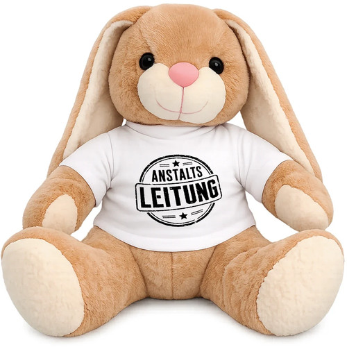 Anstaltsleitung - , –